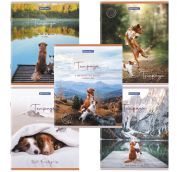 Тетрадь А5 48 л. BRAUBERG скоба, клетка, обложка картон, 