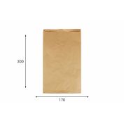 Пакет бумажный пищ. 300х170х70 крафт бурый 40гр НПФ (1500шт)