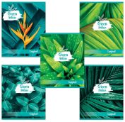 Тетрадь А5, 48 л., BRAUBERG скоба, клетка, обложка картон, GREEN NATURE, 403033